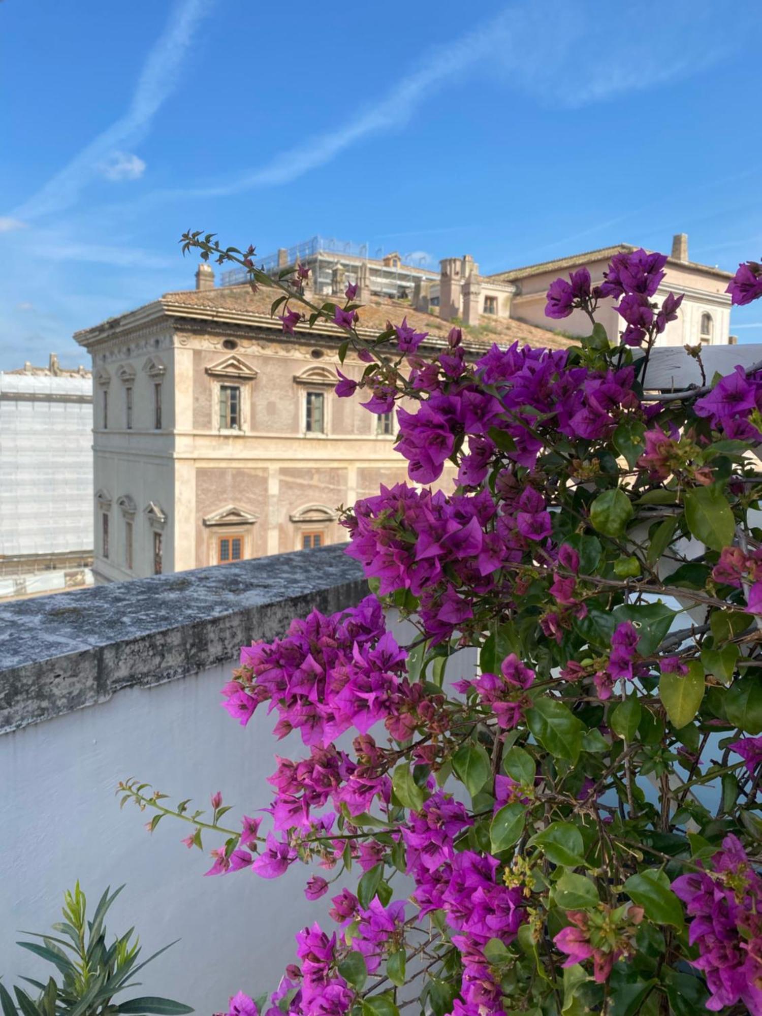 Presidential Suite Terrace